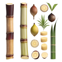 AI generated Sugarcane isolated on transparent background png