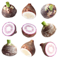 AI generated Raw taro sliced isolated on transparent background png