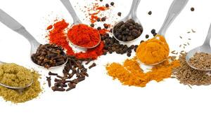 Indian Spices in Spoons on White Background photo