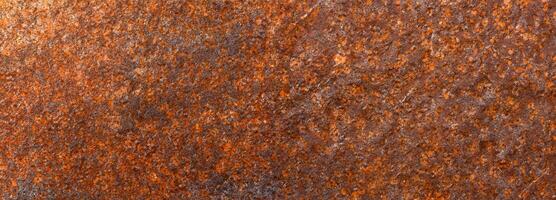 texture of rusty metal photo