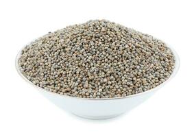 Pearl Millet Seeds on White Background photo