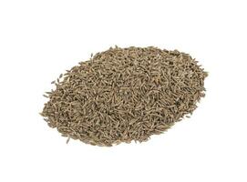 Pile of Dried Cumin Seeds on white Background photo