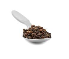 Dry Cloves in Spoon on White Background photo