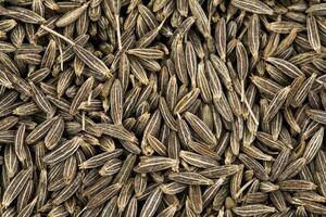 Pile of Dried Cumin Seeds photo