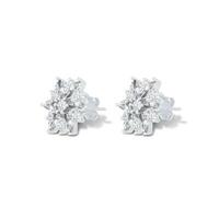 Fine 925 Sterling Silver Earrings on White Background photo
