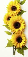 AI generated Sunflowers isolated on white background. AI Generated photo