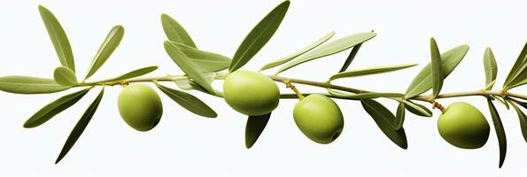 AI generated Olive tree branch, green olives and leaves on white background. AI Generated. photo