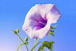 AI generated Morning Glory Flower with blue sky. AI Generated. photo