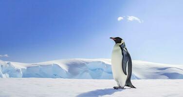 AI generated Penguin standing in Antarctica looking into the blue sky. AI Generated photo