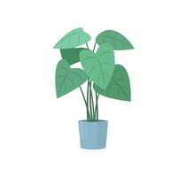 A big decorative houseplant growing in a pot. Colorful flat isolated vector illustration. Home and office interior design in pastel colors