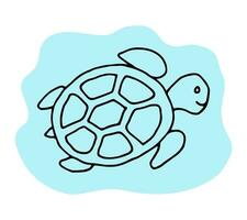 Tortuga garabatear línea mano dibujo editable vector ilustración