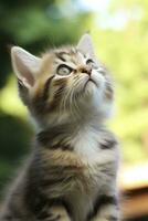 AI generated Playful funny kitten looking up. AI Generated photo