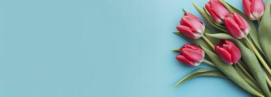 AI generated Bouquet of red tulip on blue Background. Top view with copy space.  AI Generated photo