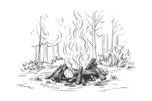 hoguera ardiente en el bosque bosquejo mano dibujado. vector ilustración diseño.