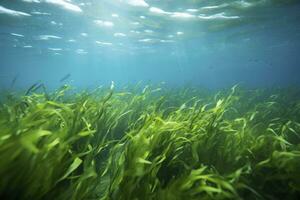 AI generated Underwater view of a group of seabed with green seagrass. AI Generated photo