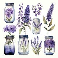 ai generado colección de acuarela masón frascos con púrpura flores clipart. ai generado foto