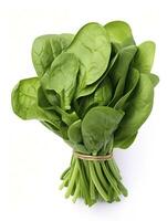 AI generated Bunch of spinach isolated on white background. AI Generated photo