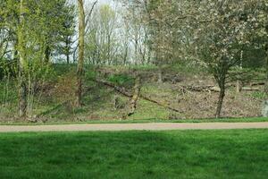 Beautiful Public Park of England photo