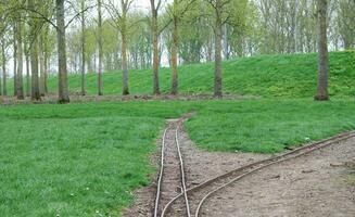 Beautiful Public Park of England photo