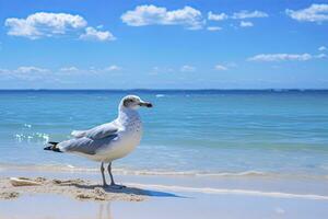 ai generado Gaviota en el playa debajo azul cielo. foto