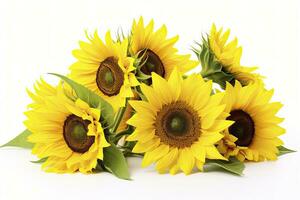 AI generated Sunflowers isolated on white background. AI Generated photo