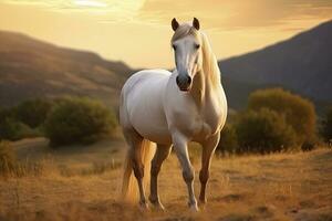 ai generado blanco caballo o yegua en el montañas a puesta de sol. ai generado foto