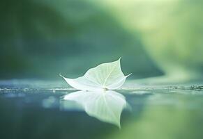 AI generated White transparent leaf on mirror surface with reflection on green background macro. Generative AI photo