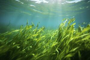 AI generated Underwater view of a group of seabed with green seagrass. AI Generated photo