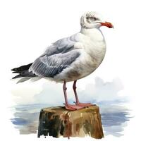 AI generated Watercolor seagull isolated on white background. AI Generated photo