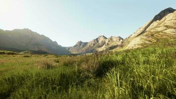 estéril montaña paisaje con rocoso terreno y seco césped video