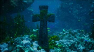 Crosses underwater in sunken cemetery on bottom of volcanic origin in Atlantic video