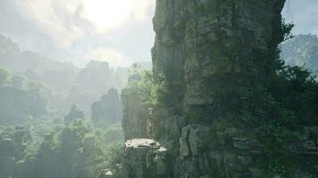 A scenic view of a rocky cliff adorned with lush trees and flourishing bushes video