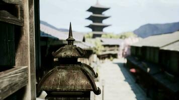 magnifique échantillonner dans Kyoto Japon video