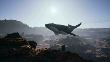 A large whale is floating in the air video