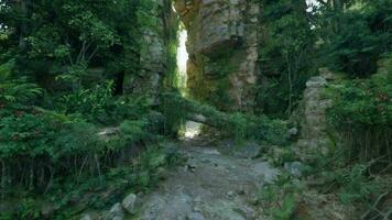 un masivo Roca estructura en pie alto en medio de un lozano bosque video