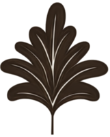 minimalist leaves free png