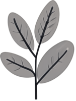 minimalist leaves free png