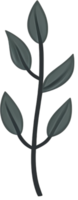 minimalist leaves free png