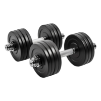 ai genererad Gym dumbles på transparent bakgrund - ai genererad png