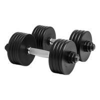 ai genererad Gym dumbles på transparent bakgrund - ai genererad png