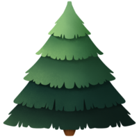 Christmas pine tree png