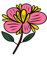 estético folha flor png