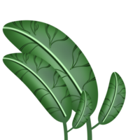 esthetisch blad bloem png