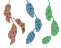 Aesthetic Leaf Flower png