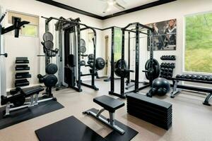 AI generated Home Gym. Pro Photo