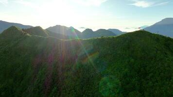 Aerial View of Indonesian Flag Raising on Independence Day Over Mount Bisma, Central Java. video