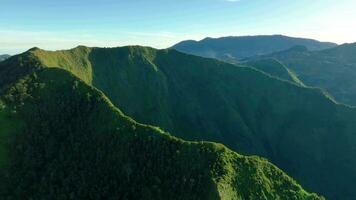 antenne visie van de top van monteren bisma in centraal Java, Indonesië. video