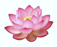 AI generated Lotus flower on white background. AI Generated photo