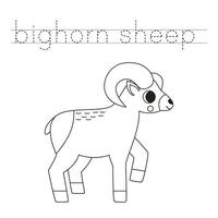 Trace the letters and color cartoon bighorn sheep. Handwriting practice for kids. vector