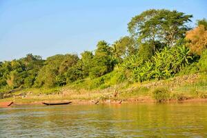 un barco en el río con arboles y arbustos foto